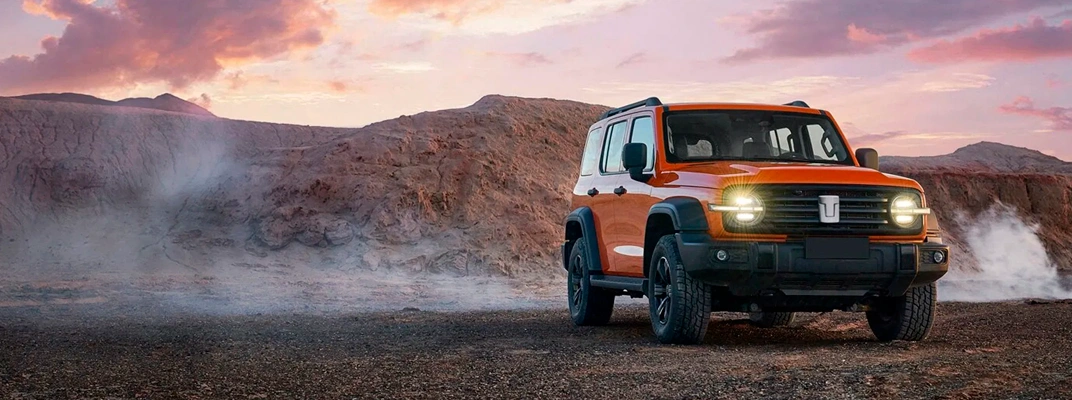 Купить Tank в Екатеринбурге